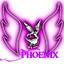 Phénix53-TV is online